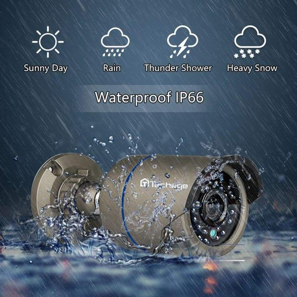 Audio Record IP Security Camera 1080P POE NVR 2 MP